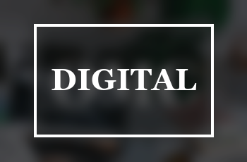 Diploma in Professional Digital Marketing training course at Genius Computer